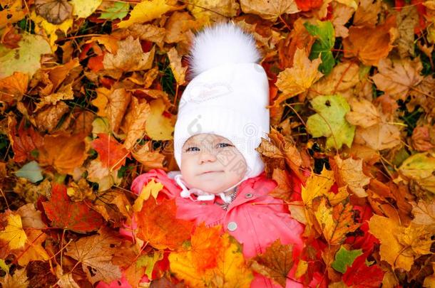 值得崇拜的小的婴儿女孩采用秋公园向寒冷的十月一天机智