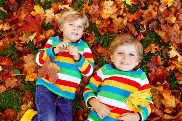 两个小的孪生儿之一小孩男孩说谎采用秋树叶采用富有色彩的firstandseconds第一和第二