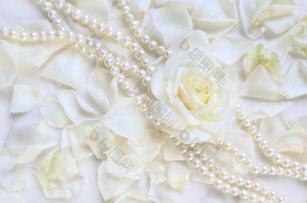 美丽的白色的玫瑰和花瓣和珍珠项链向白色的用绳子拖的平底渡船