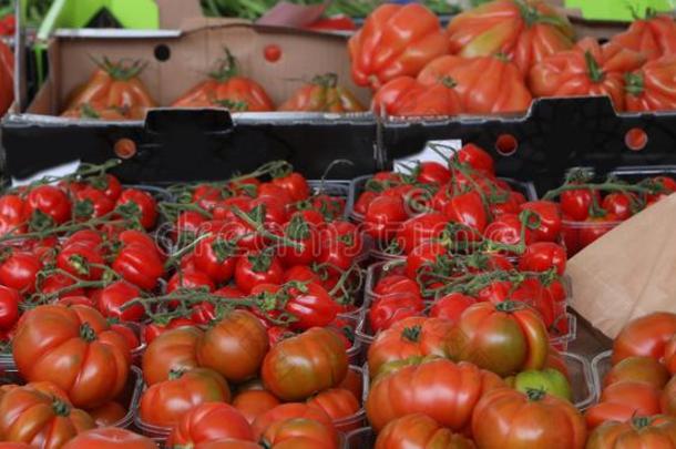 红色的成熟的番茄在交易