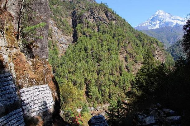 看法关于山谷和卡姆比拉山采用指已提到的人背景和落花生