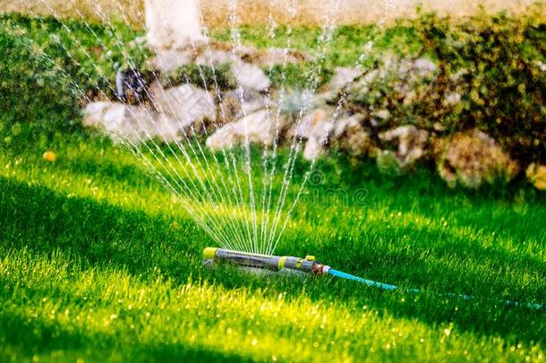 装置<strong>洒</strong>水器关于灌溉花园.<strong>洒</strong>水器体系<strong>洒</strong>水