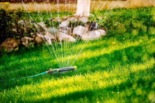洒水装置洒水器关于灌溉花园.洒水器体系