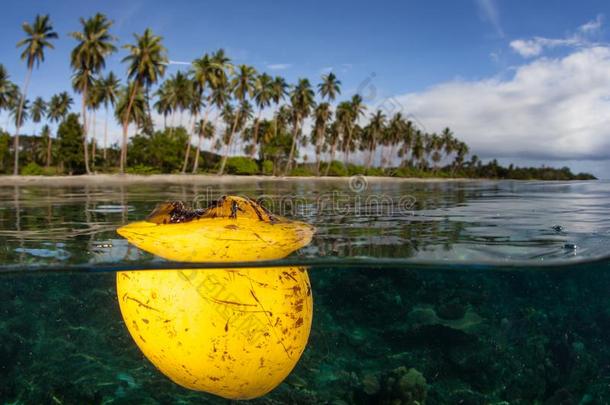 椰子漂流的在近处热带的岛