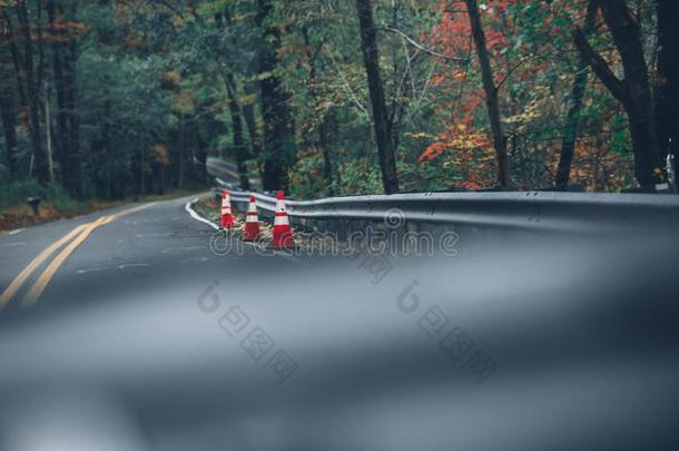 射手关于交通圆锥细胞向一ro一d被环绕着的在旁边树