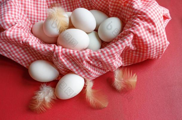 鸭子卵采用篮关于红色的彩格呢织物向红色的表