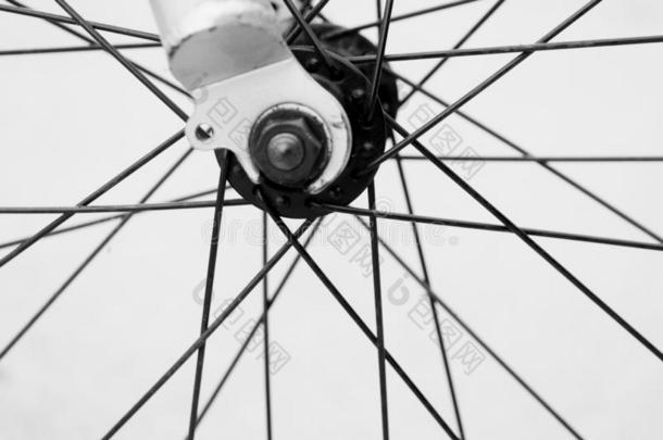 特写镜头灰度的射手关于薄的辐条关于一自行车轮子