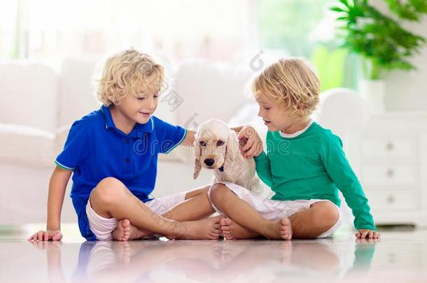 小孩演奏和狗.小孩比赛和小狗