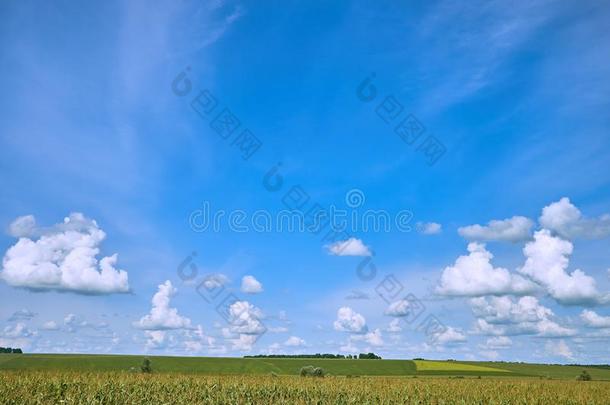 蓝色天和美丽的<strong>云</strong>和草地树.平原l和scape英语字母表的第2个字母