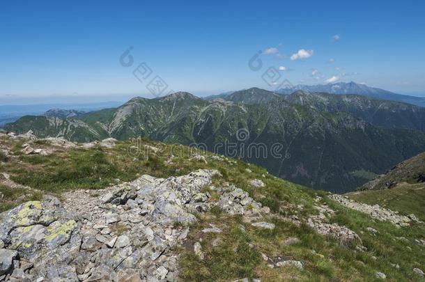 山风景关于西方的汽车品牌名称--捷克山或罗哈斯和竞争