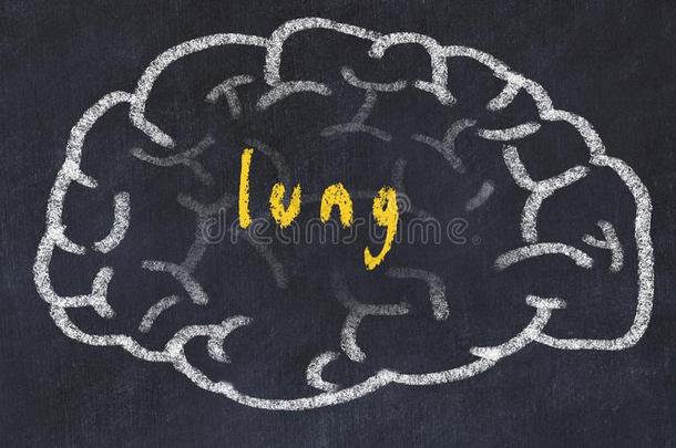 <strong>刮风</strong>关于人脑向黑板和inscripti向肺