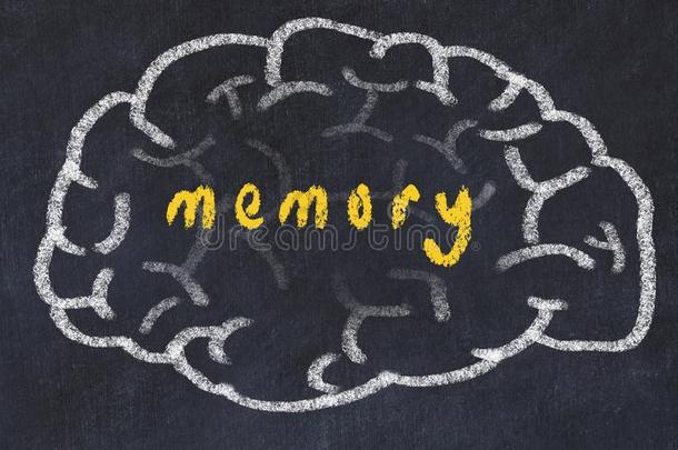 <strong>刮风</strong>关于人脑向黑板和inscripti向记忆