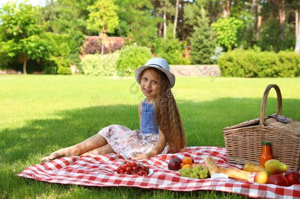 小的女孩享有野餐郊游向草地