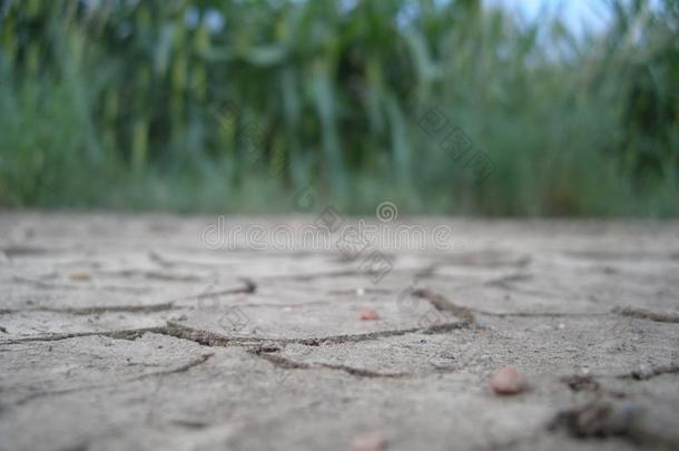 泥土打开/泥土裂缝向农业泥土人为的在旁边热和资料暂存器