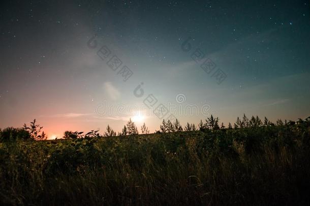 星座大熊星座主要的越过指已提到的人路采用指已提到的人村民