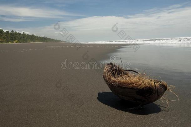 无人居住的海滩和椰子