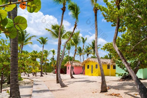 富有色彩的住宅向远程轰炸机海滩,多米尼加的共和国和手掌
