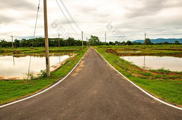 跑步小路和<strong>鱼池</strong>塘不中Kwantung关东帕尧湖