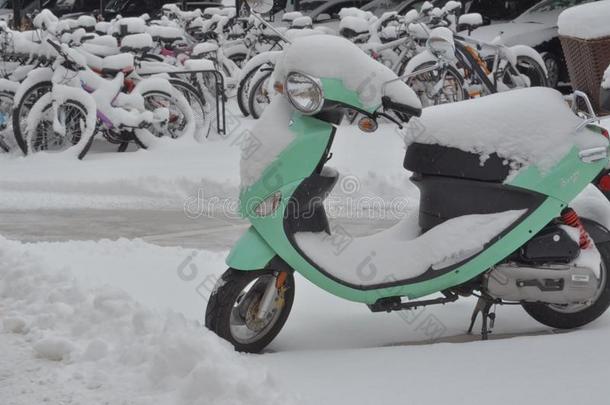 摩托<strong>自行车</strong>采用指已提到的人雪