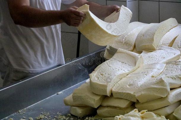 制造传统的<strong>皮罗特</strong>塞尔维亚奶酪