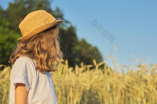 女孩小孩白肤金发碧眼女人采用<strong>帽子</strong>采用小麦田,<strong>夏日</strong>落