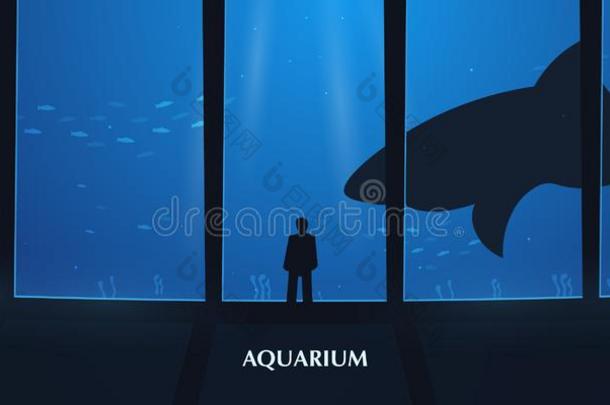 大的水族馆或大型海洋水族馆和鲨鱼.人观察指已提到的人在下面