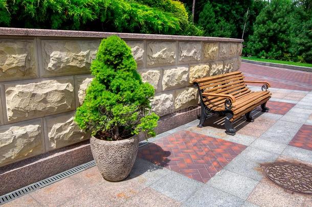 一石头花盆和一常绿植物树在近处一木制的长凳.