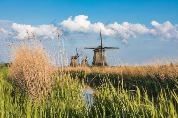 荷兰人的风景和num.三风车
