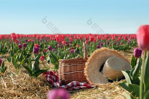 柳条篮,多变的野餐郊游桌布和稻草帽子