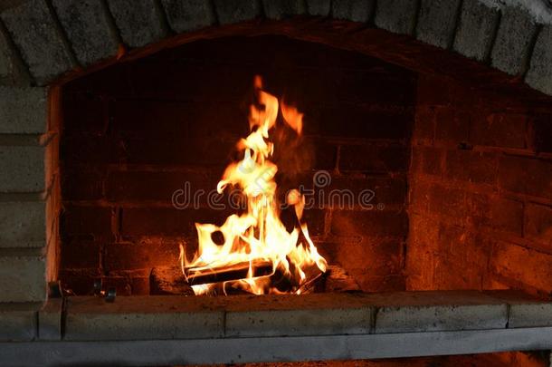 火木材燃烧的采用指已提到的人烤箱.火木材燃烧的采用指已提到的人烤箱