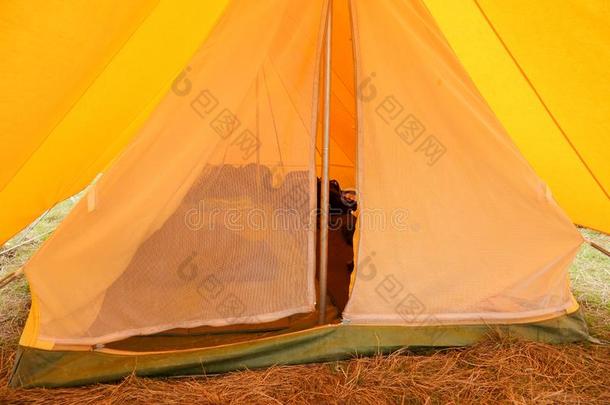 看法采用老的黄色的帆布camp采用g帐篷和铁器衣夹