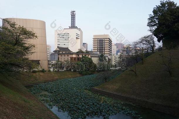 壕沟和水百合花大约东京帝国的公园