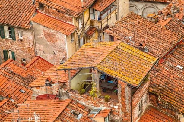 <strong>红色</strong>的屋顶关于在<strong>历史</strong>上重要的住宅关于指已提到的人卢卡城市采用托斯卡纳区,意大利