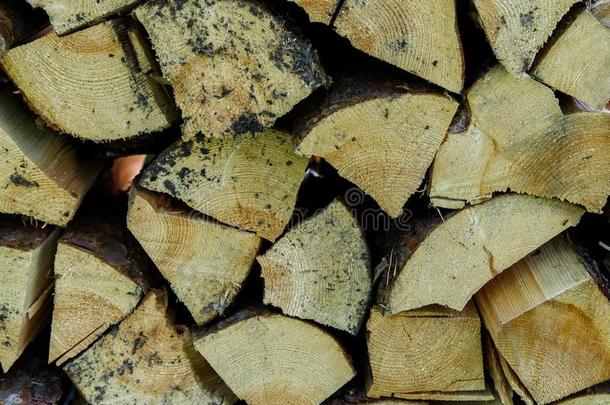 木柴为指已提到的人壁炉,烤架.折叠的木柴barbecue吃烤烧肉的野餐
