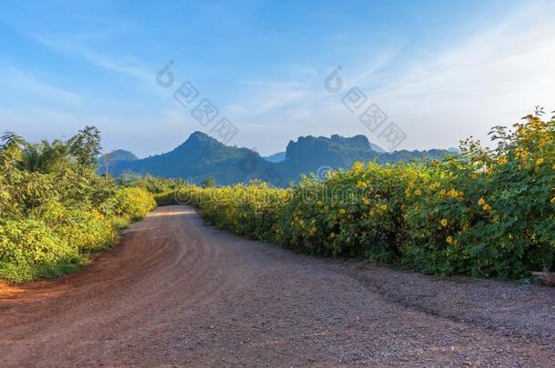 山风景为旅行者向旅行向一高的mount一in一<strong>dv</strong>