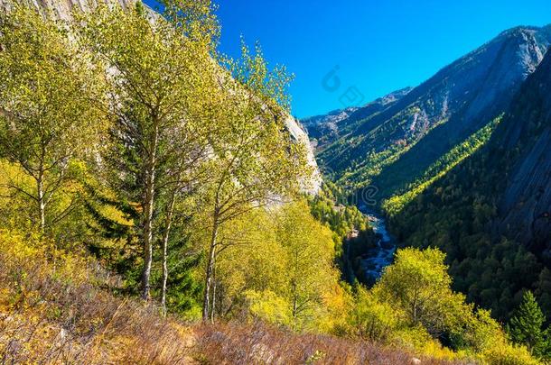 新疆科科托海地质的公园年长的宏大的峡谷风景优美的Argentina阿根廷