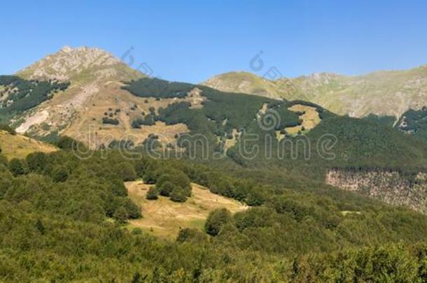 阿潘尼娜山全景画展映山峰:阿尔佩diameter直径年度最佳成就奖,montane山地森林