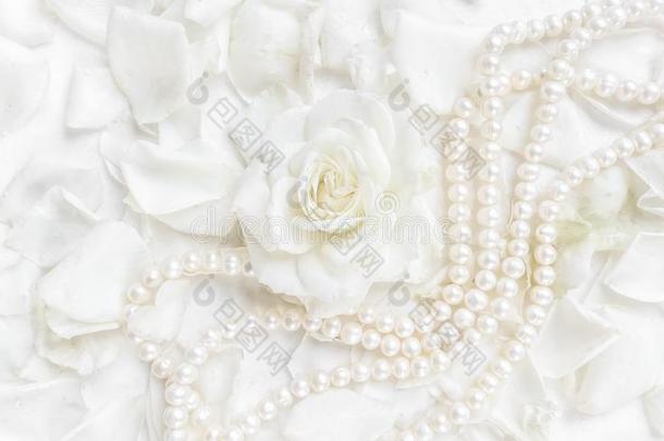 美丽的白色的玫瑰和花瓣和<strong>珍珠项链</strong>向白色的用绳子拖的平底渡船