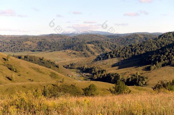 针叶树林地带村民大会采用指已提到的人mounta采用s关于阿尔泰语克莱.西方的