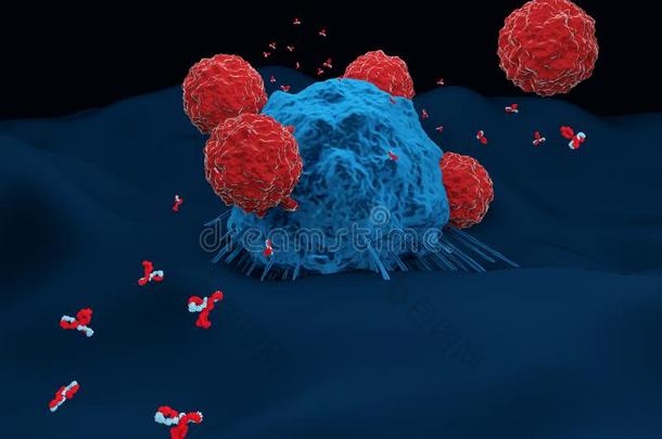抗体和免疫的英语字母表的第20个字母细胞攻击一c一ncer细胞