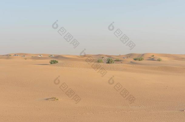移位沙沙丘采用指已提到的人阿拉伯的沙漠和指已提到的人天采用指已提到的人用绳子拖的平底渡船