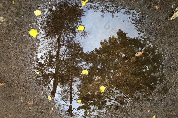 主题关于秋和下雨的天气.镜子水坑