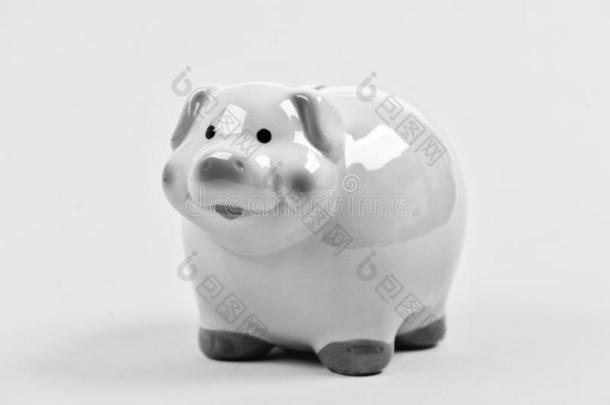 会计个人的会计人员和家庭预算.小猪银行symbol符号