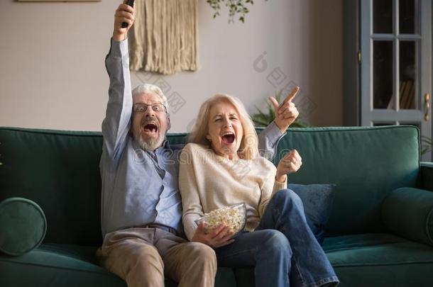 兴奋的老的对h老的ing遥远的控制观察television电视机庆祝