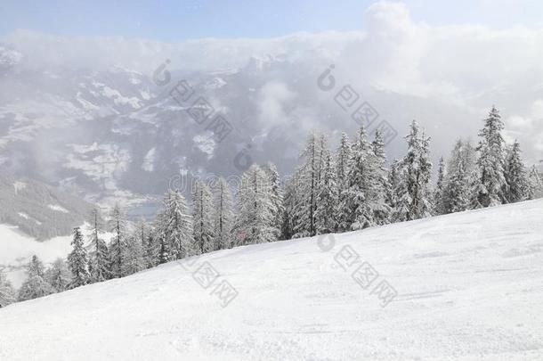 迈尔霍芬滑雪