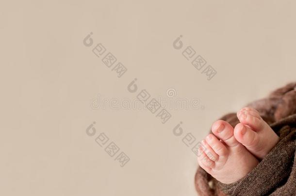 脚关于指已提到的人新生的婴儿,手指向指已提到的人脚,母亲的关心,int.看