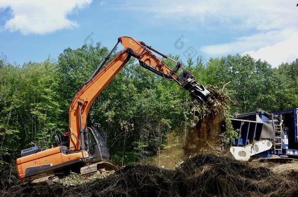 <strong>反</strong>铲挖土机在使工作采用一森林