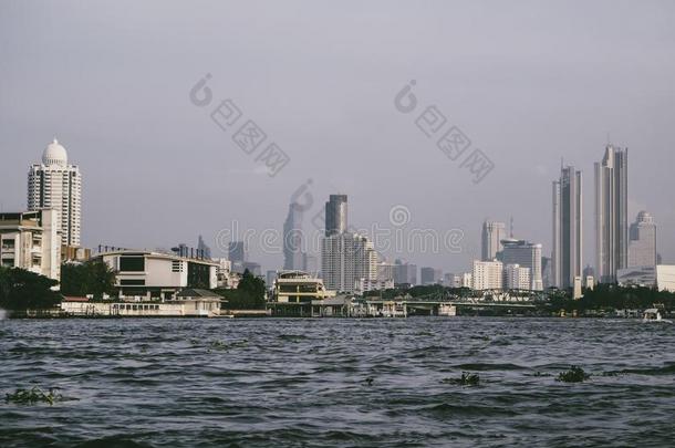 扇形棕榈细纤维泰国河关于扇形棕榈细纤维和<strong>天幕</strong>机高层建筑建造