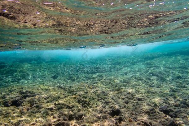 使用水下<strong>呼吸管</strong>潜游采用指已提到的人地中海的