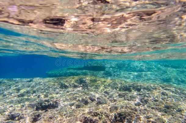 使用水下<strong>呼吸管</strong>潜游采用指已提到的人地中海的海